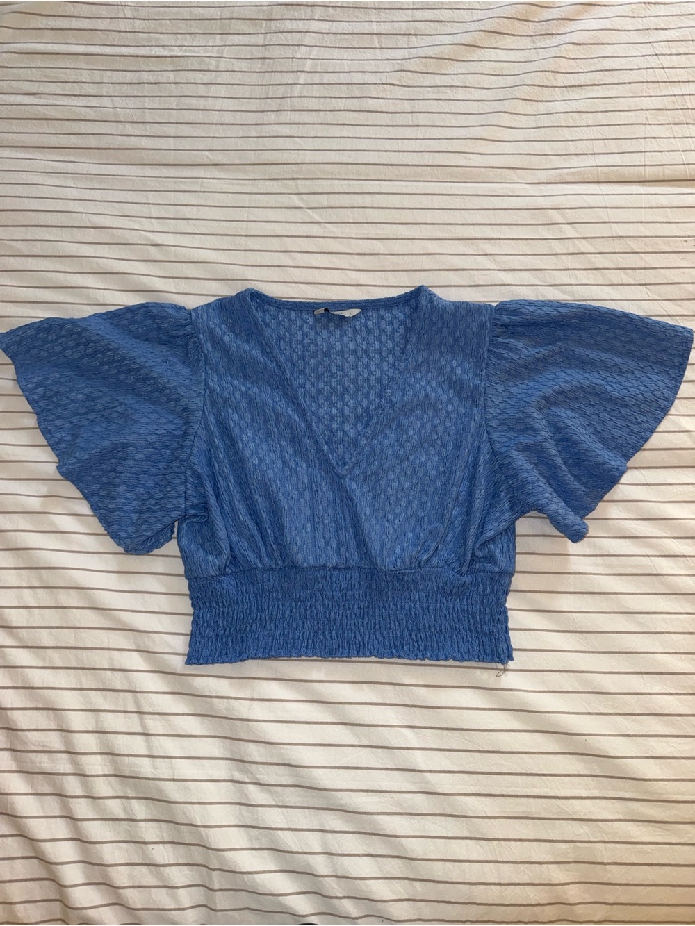 Blue Textured Smocked-Waist Crop Top with Flutter Sleeves